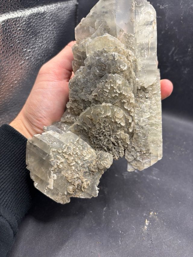 Gesso Minerale - Farneto, Bologna (KK) 19cm