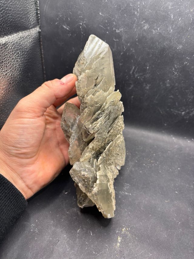 Gesso Minerale - Farneto, Bologna (KK) 19cm