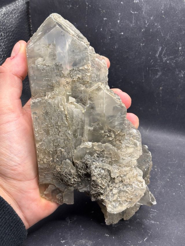 Gesso Minerale - Farneto, Bologna (KK) 19cm