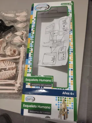 Esqueleto Humano Discovery Explore