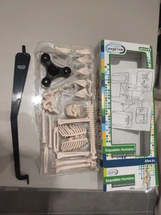 Esqueleto Humano Discovery Explore