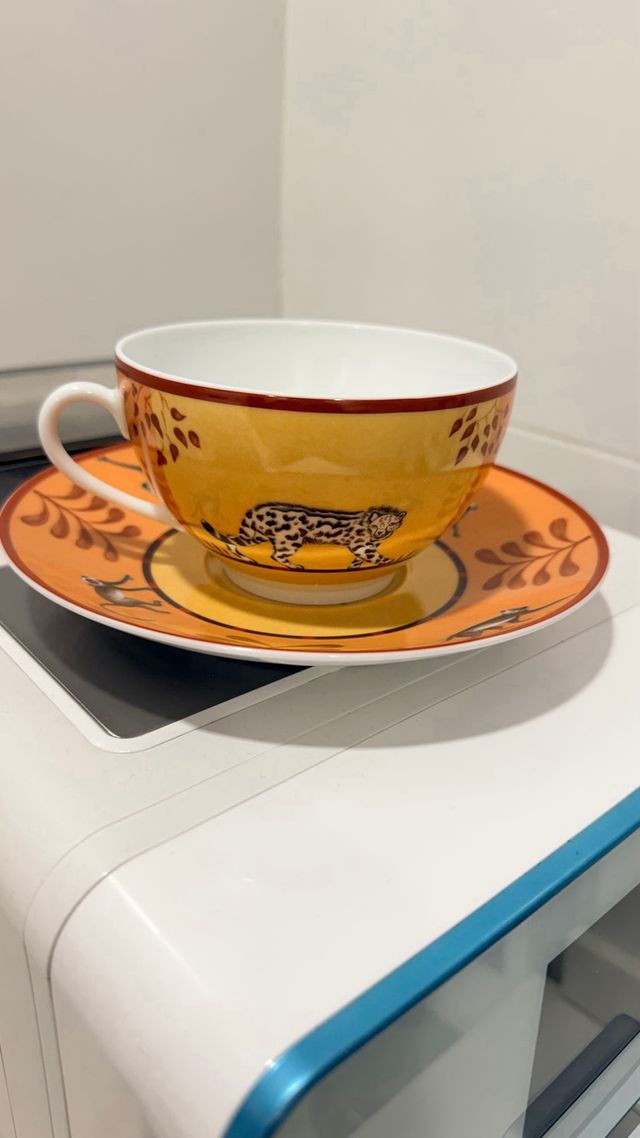 Hermes Juego de taza y plato Colección África