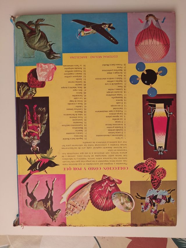 Libro: Prima Guerra Mondiale