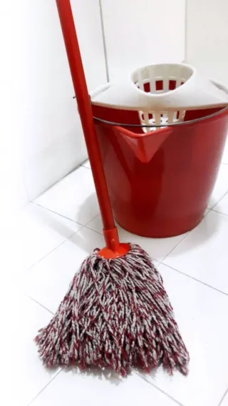 limpieza de hogar, cuidados de perro y gatos.