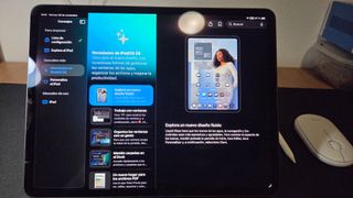 iPad Pro 12.9 4ª Gen 512GB + Lápiz