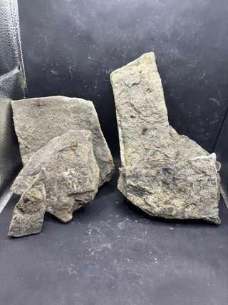 Minerali Lotto 5pz Ambra Fluorescente