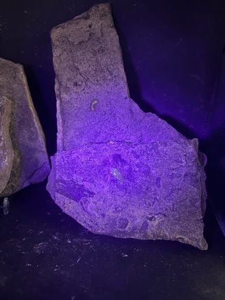 Minerali Lotto 5pz Ambra Fluorescente