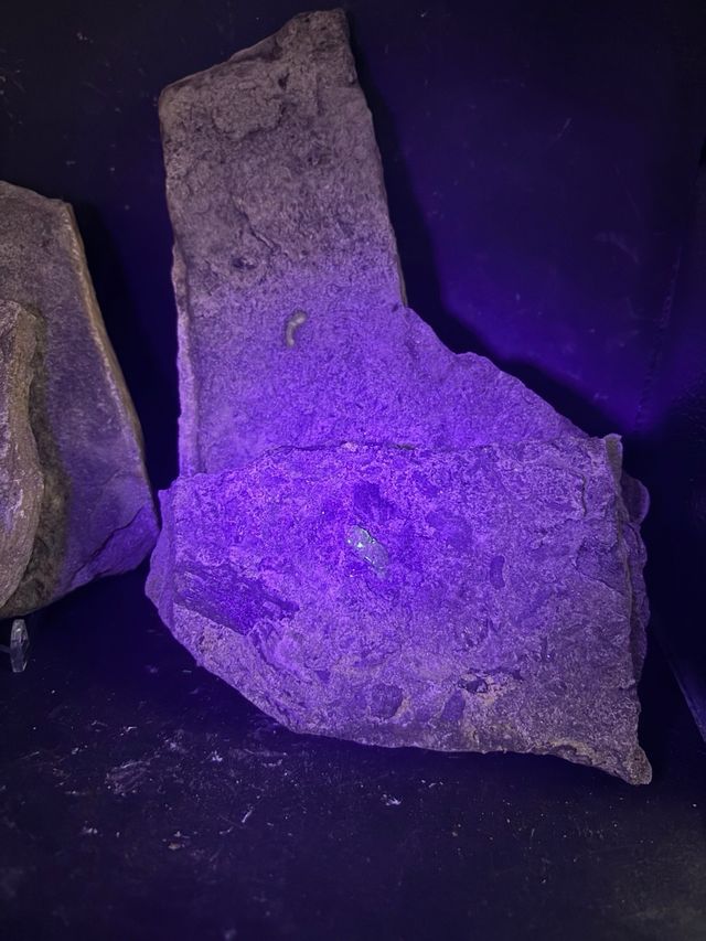 Minerali Lotto 5pz Ambra Fluorescente