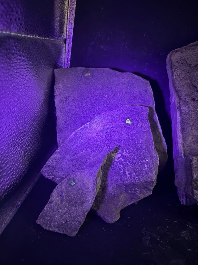 Minerali Lotto 5pz Ambra Fluorescente