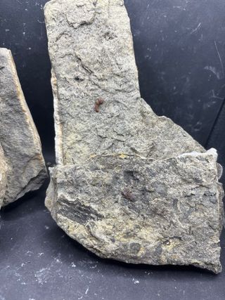 Minerali Lotto 5pz Ambra Fluorescente