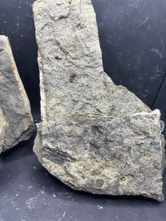 Minerali Lotto 5pz Ambra Fluorescente