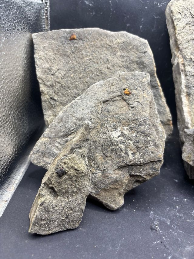 Minerali Lotto 5pz Ambra Fluorescente