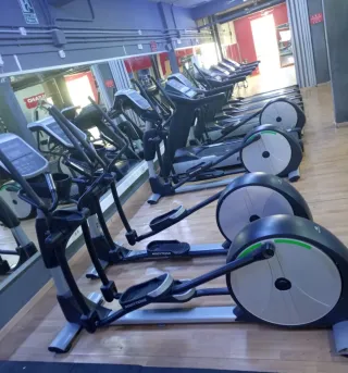 Lote Cintas Correr y Elípticas