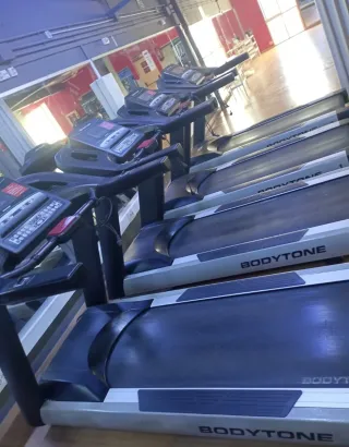 Lote Cintas Correr y Elípticas