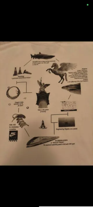 Camiseta Nike NRG Tee Pegasus Blanca