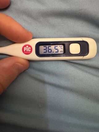 Termometro Digitale PIC Solution AF