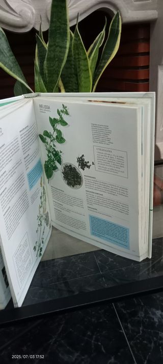 4 Livros Guia Tratamentos + Harry Potter + Farpas