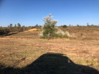 FINCA RÚSTICA CON POCO Y PORTAL