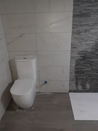 Palita Oficial fontanero pintura pelador reforma