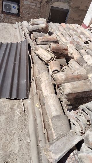 albañil multisevicios