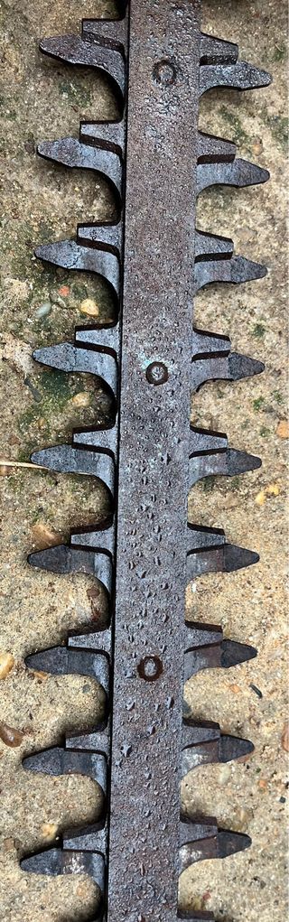 Tagliasiepi Partner HG5