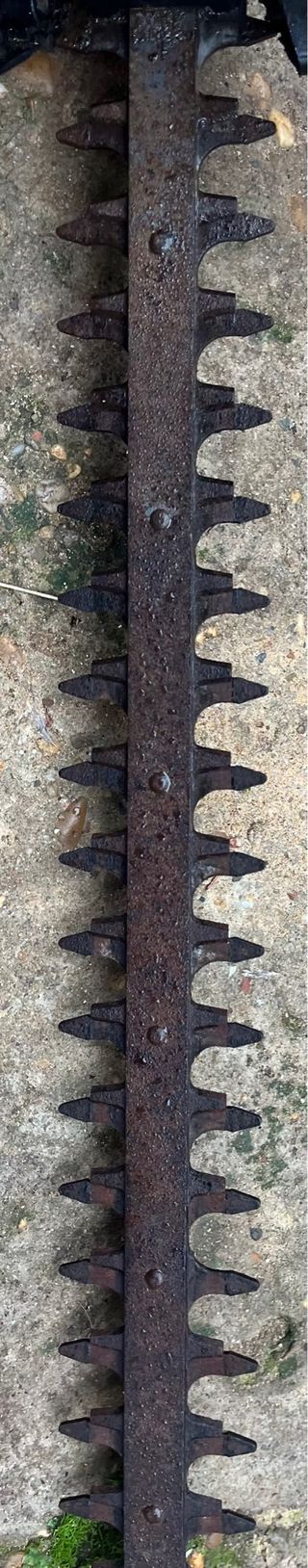 Tagliasiepi Partner HG5