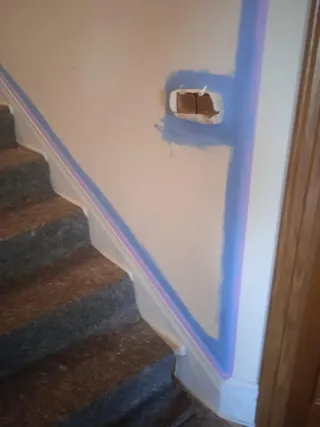 Realizo trabajo de pintura, jardinería y limpieza