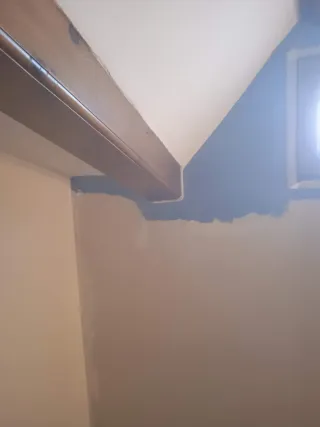 Realizo trabajo de pintura, jardinería y limpieza