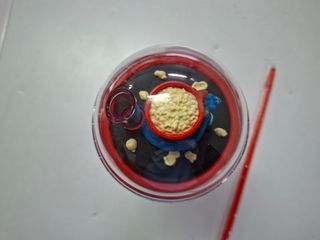 Zootrópolis 2 Vaso Premium + Paja Disney Cine excl