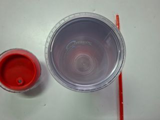 Zootrópolis 2 Vaso Premium + Paja Disney Cine excl