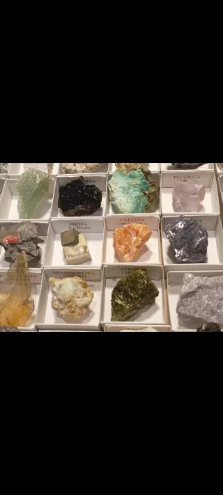 Collezione di 30 minerali