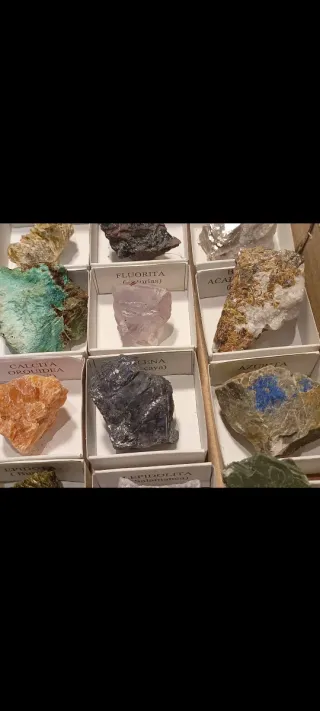 Collezione di 30 minerali