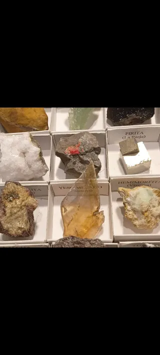 Collezione di 30 minerali