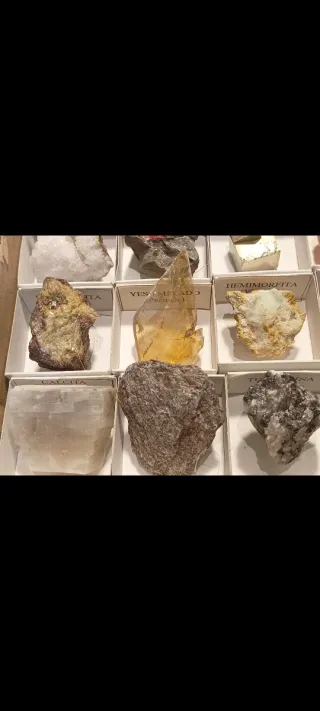 Collezione di 30 minerali