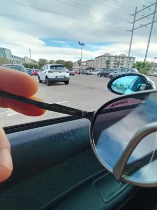 Gafas Carrera Champion