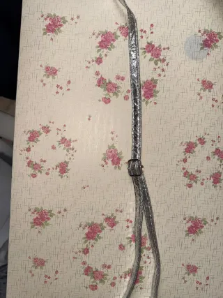 Bolso plateado bandolera o mano