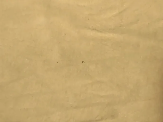 Combat Shirt Kratos Multicam