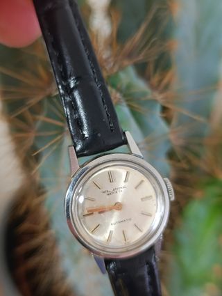 Reloj IWC Automático Plata y Negro