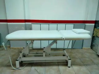 Camilla eléctrica con ruedas y portarollos