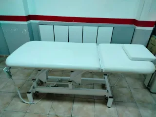 Camilla eléctrica con ruedas y portarollos