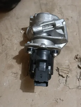 Válvula EGR Delphi EG10401