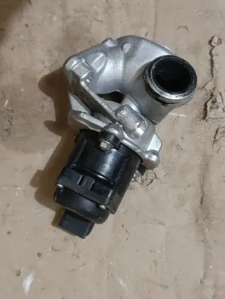 Válvula EGR Delphi EG10401