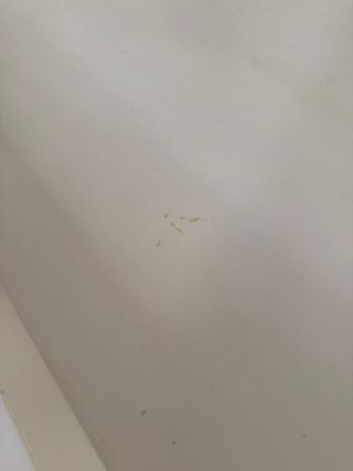 Tavolo da centro in legno massello bianco - beige