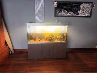 Vendo acuario 700L