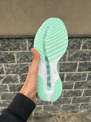 Nike Pegasus Premium