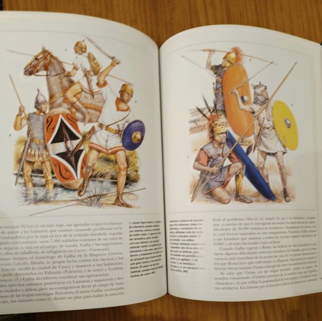 Hispania en guerra. Libro historia celtiberia