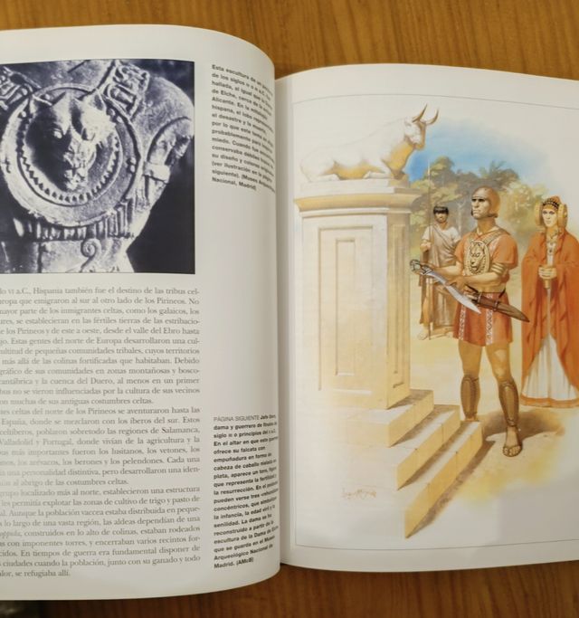 Hispania en guerra. Libro historia celtiberia
