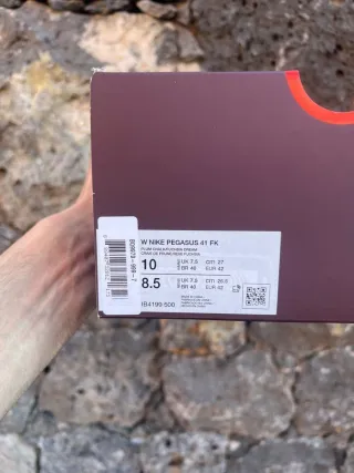 Nike Pegasus 41
