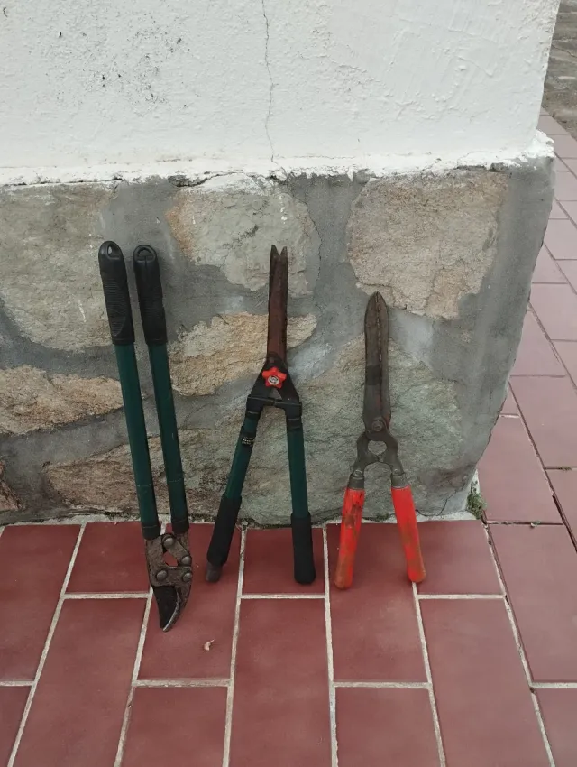 Herramientas de Jardín: Tijeras y Podaderas