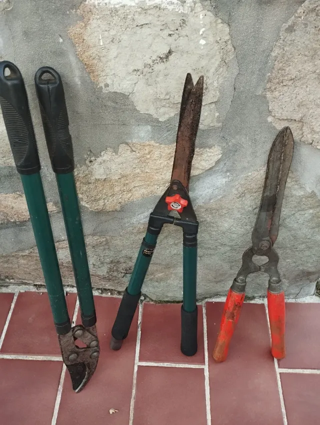 Herramientas de Jardín: Tijeras y Podaderas